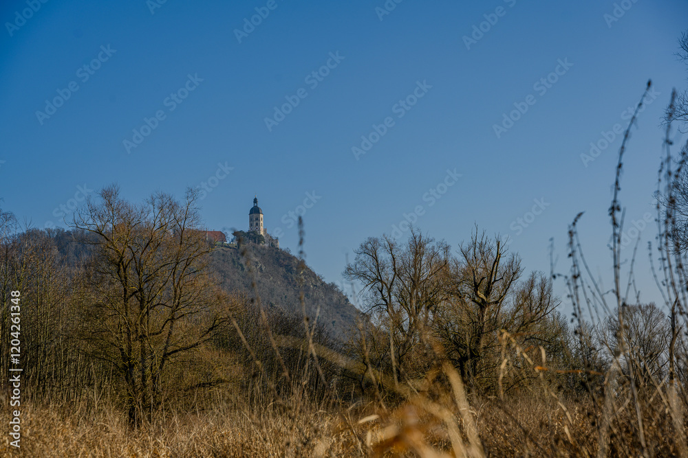 Obraz premium Am Donau-Altarm bei Bogen/Niederbayern