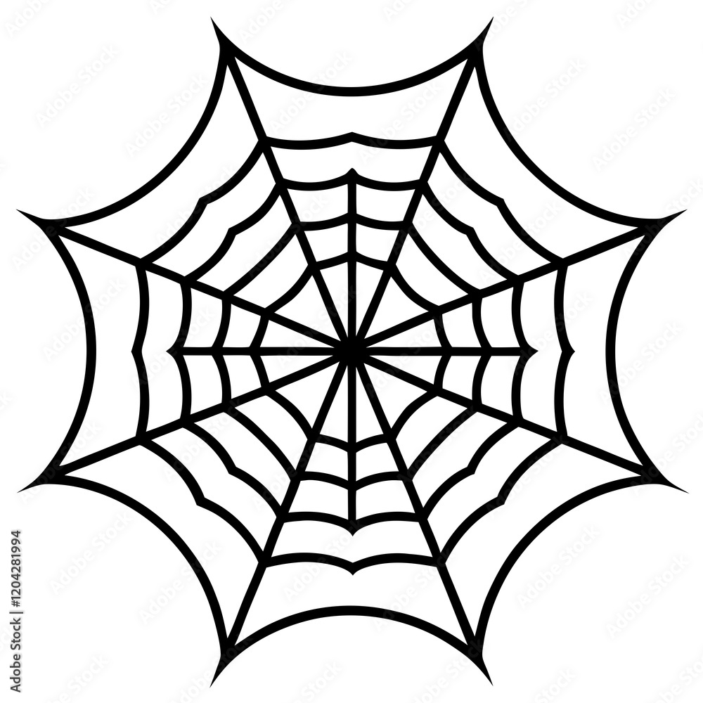 Obraz premium spider web vector