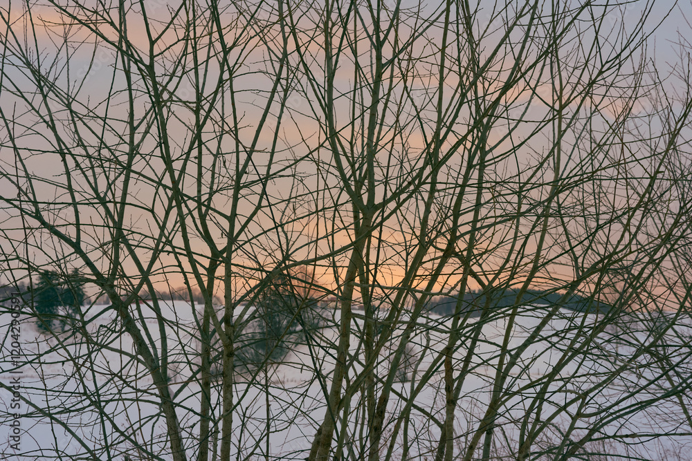 Fototapeta premium Photography from the rural landscape below Skreia, Toten, Norway, an afternoon of January 2025.