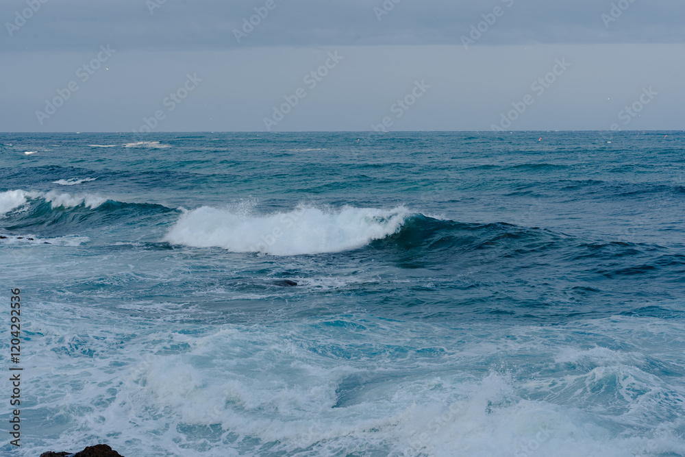 Fototapeta premium Ocean waves crashing on shore
