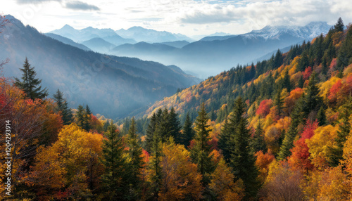 Autumn Mountain Landscape Colorful Forest and Misty Peaks