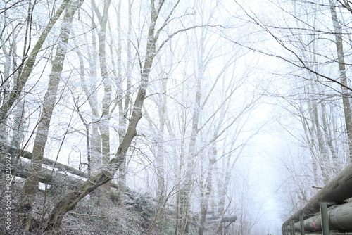 Winter trees colg indistrie place ruhrgebiet photo