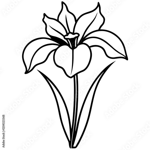 Siberia Iris flower line art vector 