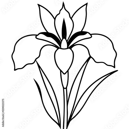 Siberia Iris flower line art vector 