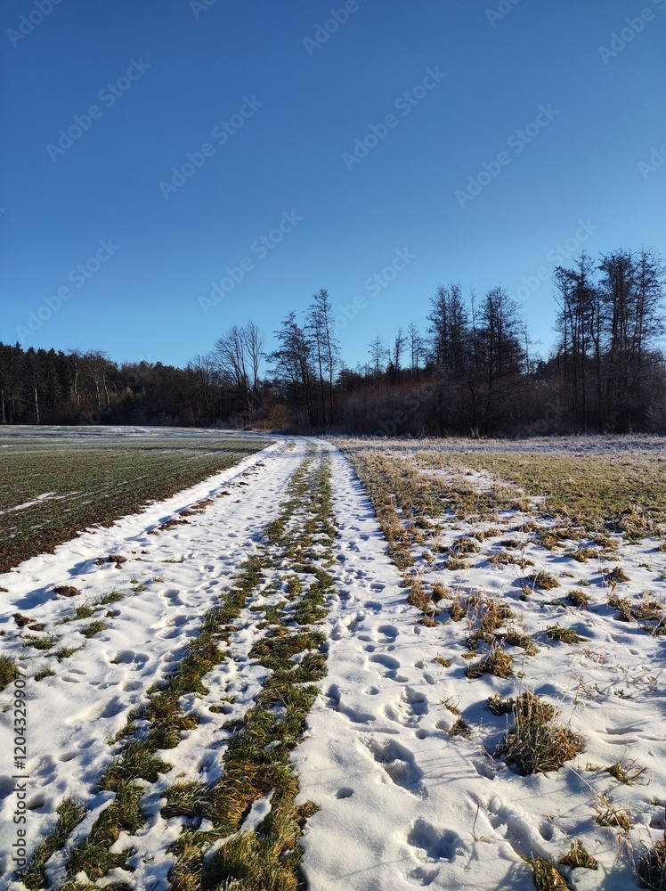 Feldweg schneebedeckt mit Fußspuren Feldweg schneebedeckt mit Fußspuren