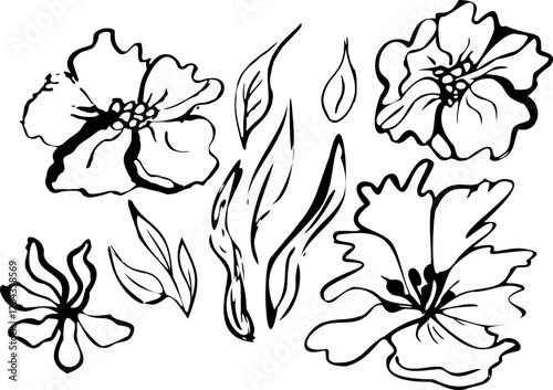 black and white flower