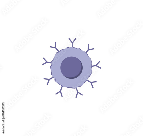 B cell, cells of adaptive immune system. leukocytes, B-lymphocyte icon. Vector illustration.	