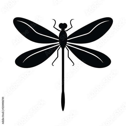 dragonfly illustration