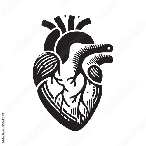 Human heart vector silhouette, icon