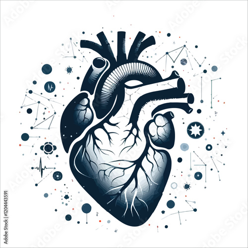 Human heart vector silhouette, icon