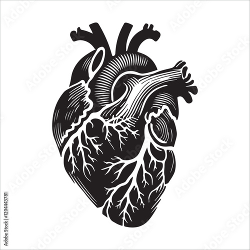 Human heart vector silhouette, icon