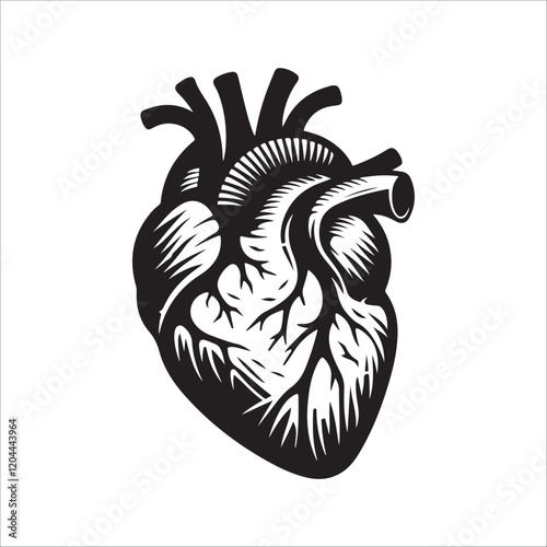 Human heart vector silhouette, icon