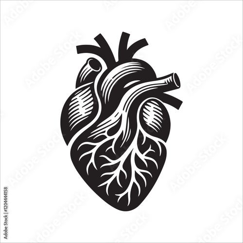 Human heart vector silhouette, icon
