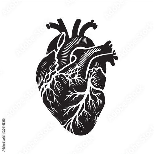 Human heart vector silhouette, icon