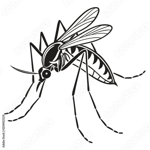 Mosquito silhouette Black and white  illustration  Vector.