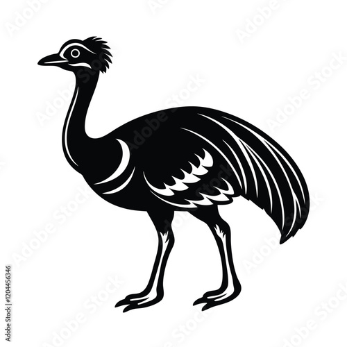ostrich illustration