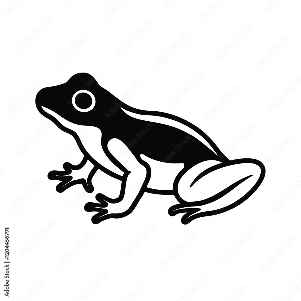 Naklejka premium frog on white background