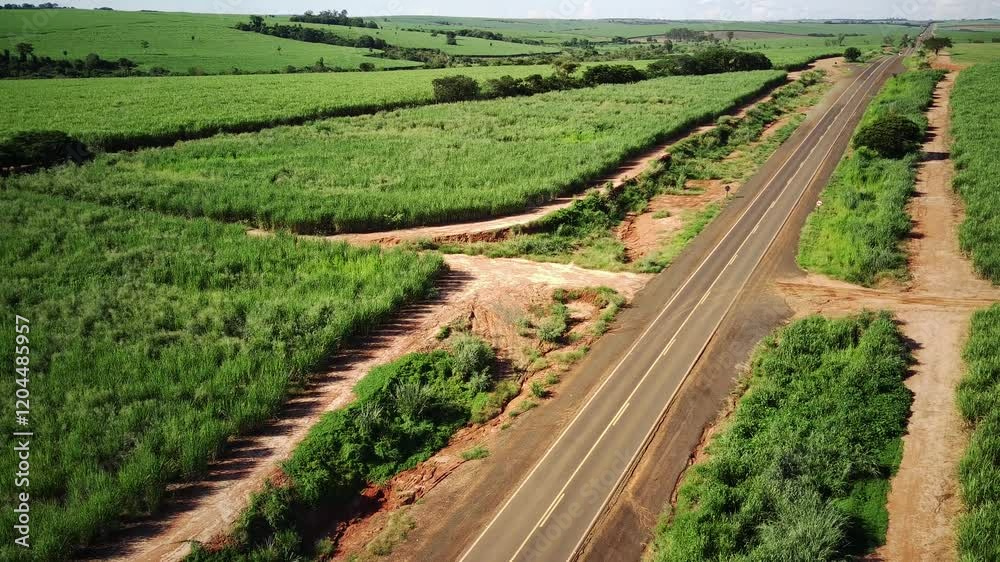 Aerial Drone View of a Highway Crossing Rural Areas in São Paulo State Aerial Drone View of a Highway Crossing Rural Areas in São Paulo State
