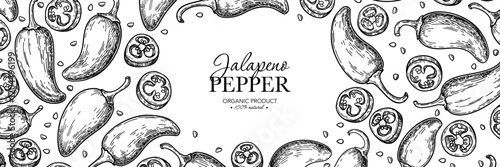 Jalapeno pepper vector drawing. Hand drawn food label. Vegetable engraved style frame. 