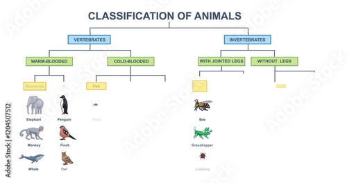 Animal classification diagram. Moving banner or educational infographic with vertebrate and invertebrate animals. Studying biology and wildlife. Cartoon flat animated graphics