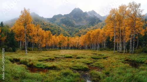 Autumnal mountain landscape, golden birch forest, misty meadow, serene nature scene, travel photography