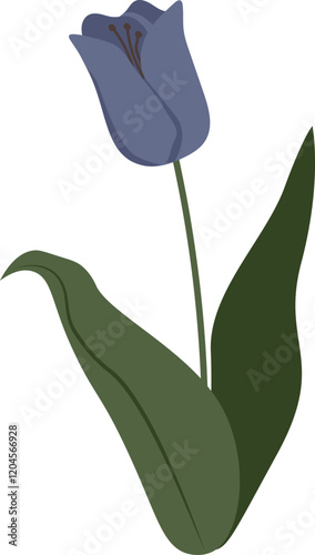 Tulip Flower Handdrawn
