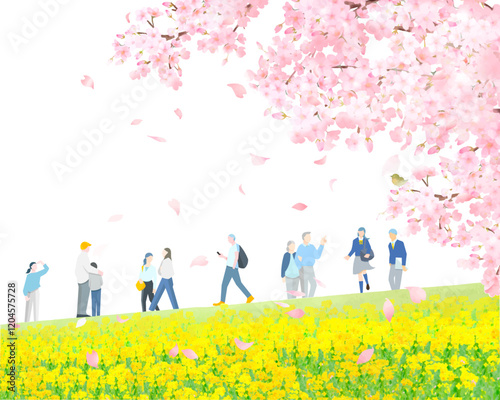 桜の木と菜の花の咲く土手沿いを歩く様々な人々ー全身ー春ー人物ベクターイラスト白バック背景素材