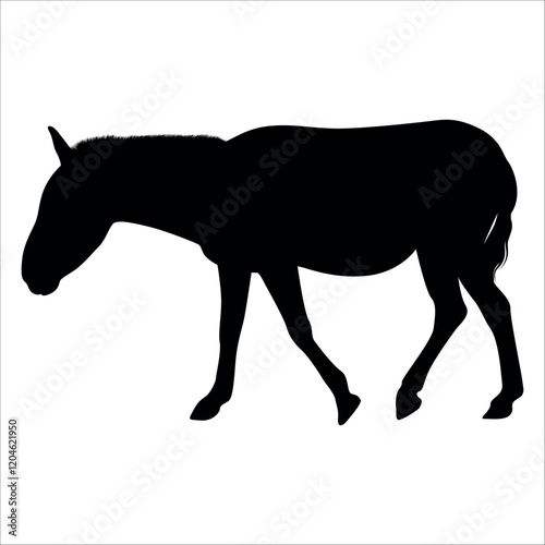 Animal Donkey Silhouette Vector illustration