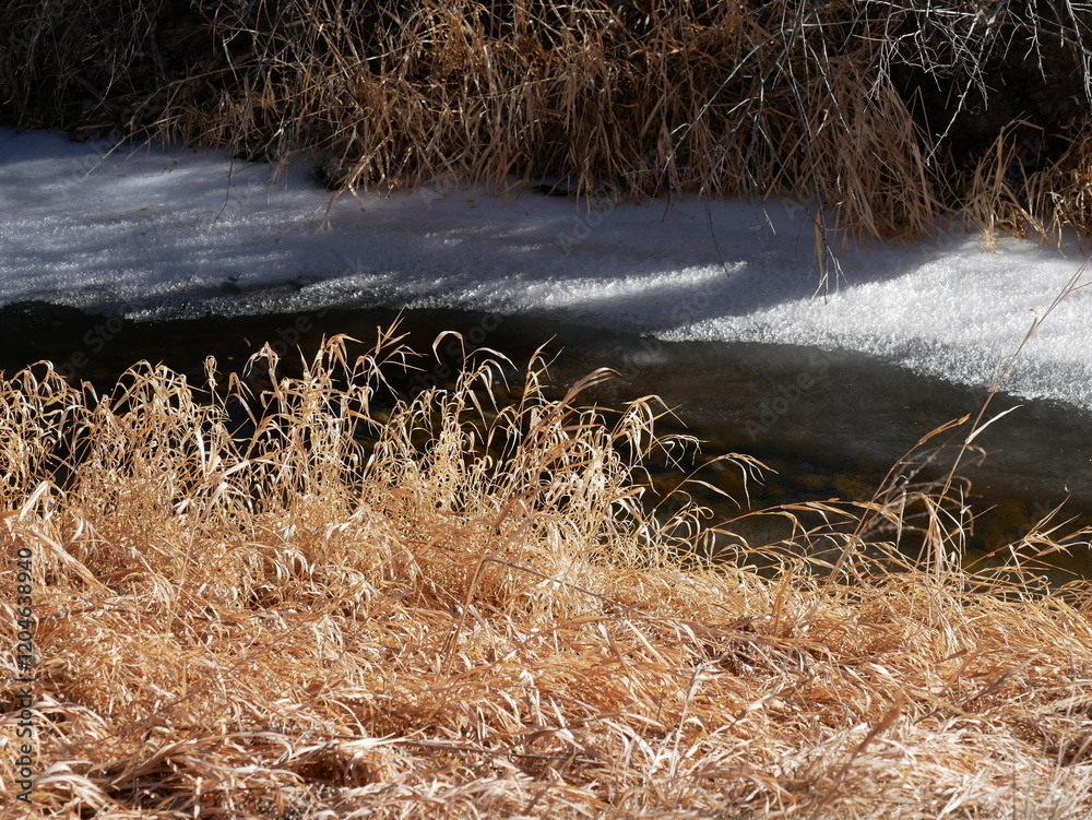 Obraz premium Streams with frozen surface in winter, Colorado
