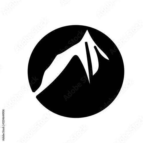 Vector