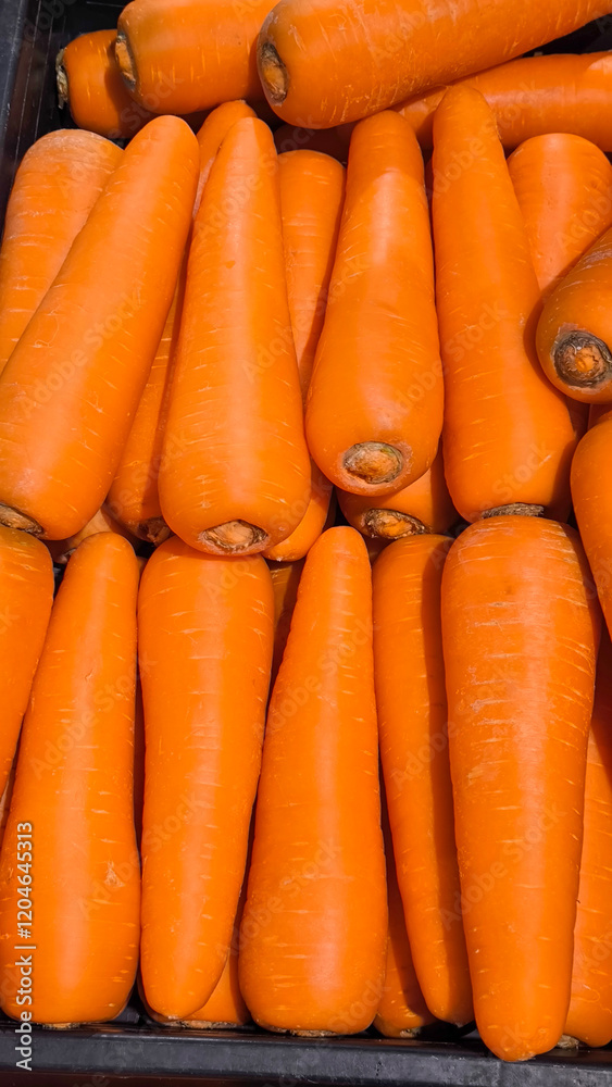 Carrots in the background Carrots in the market Carrots in the background Carrots in the market