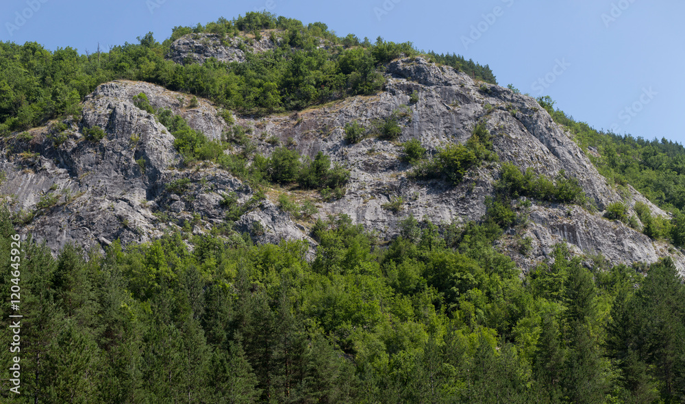 Rhodopes, are a mountain range in Southeastern Europe. Bulgaria. Panorama. The forest area covers the mountains. Rhodopes, are a mountain range in Southeastern Europe. Bulgaria. Panorama. The forest area covers the mountains.