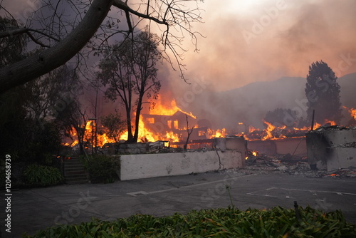 Homes destroyed from fire in the Pacific Palisades