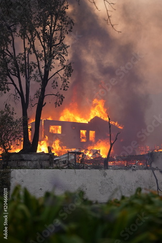 Homes up in flames in the Palisades wild fire 2025