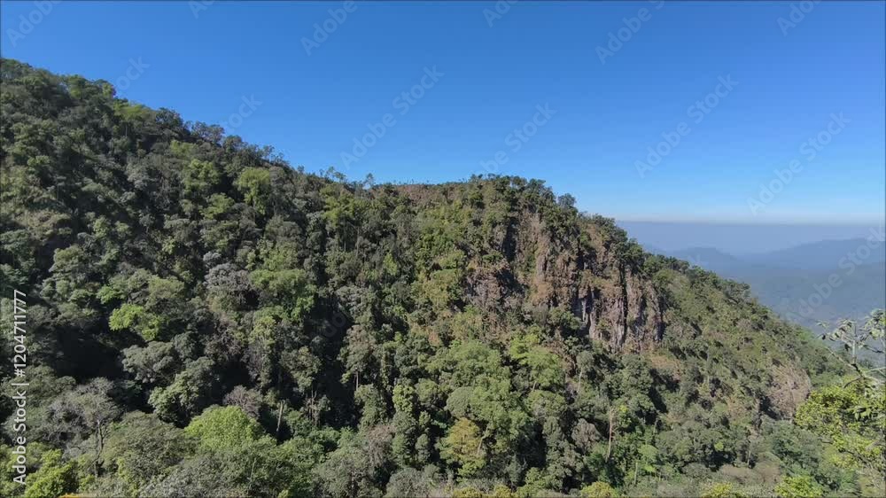 Trees, branches, dry grass and flowers on the top of a high mountain