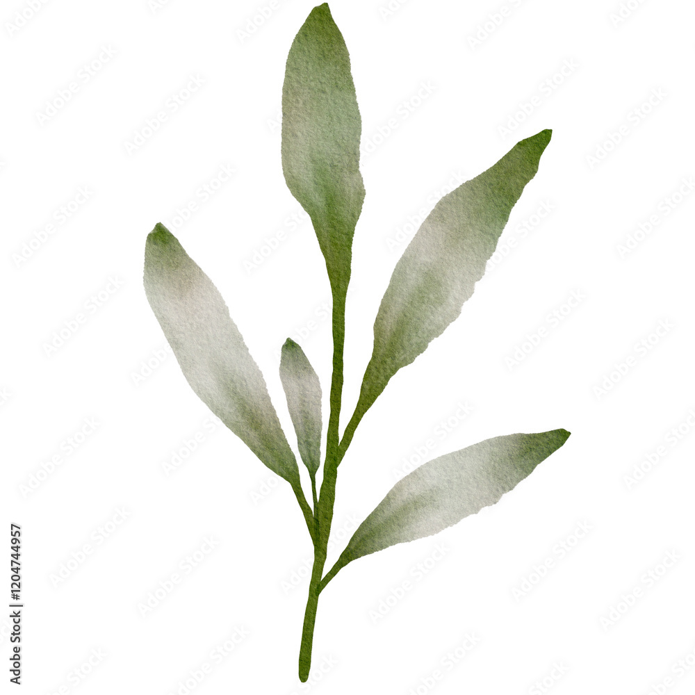 Obraz premium Green Leaves Watercolor