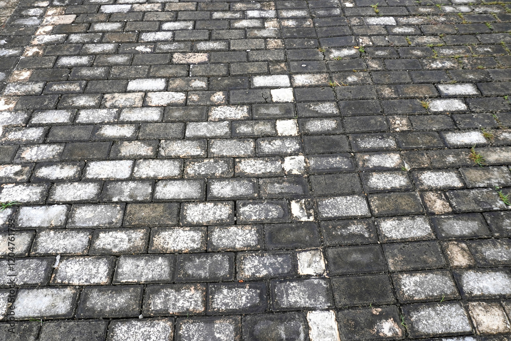 Fototapeta premium paving block