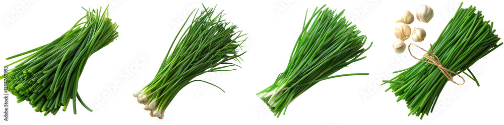 Fresh Chives Bundles Garlic Cloves Culinary Herbs Spring Onions Cooking Ingredients on transparent background Fresh Chives Bundles Garlic Cloves Culinary Herbs Spring Onions Cooking Ingredients on transparent background