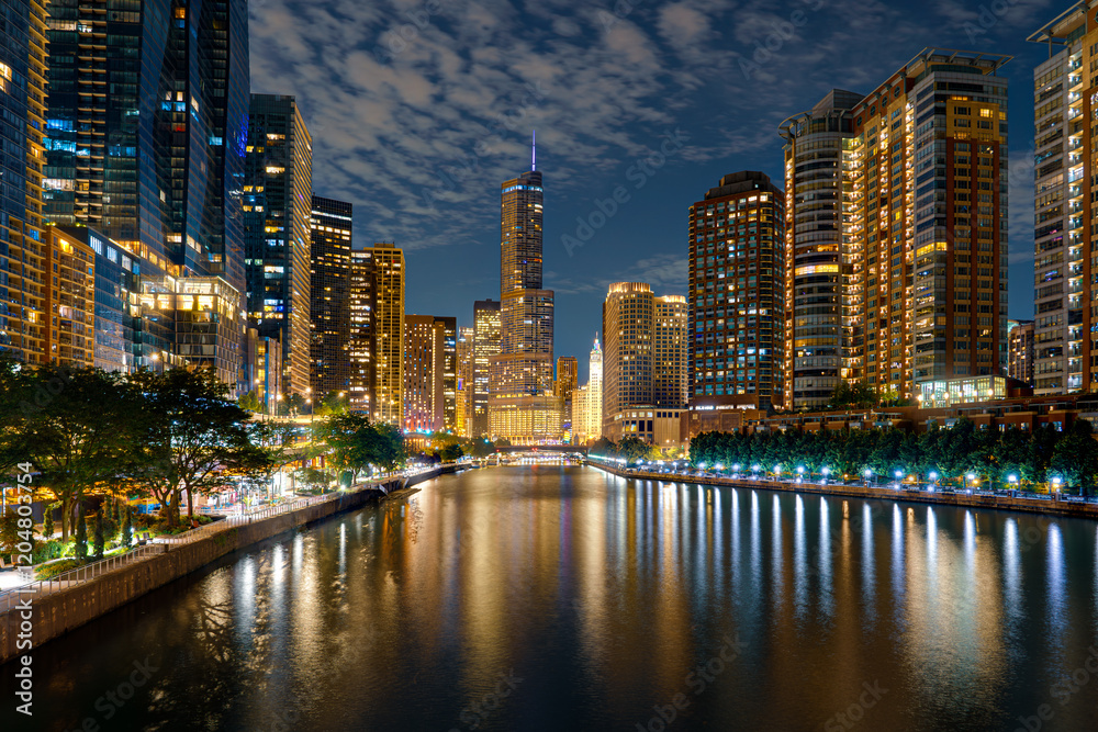 Fototapeta premium Chicago River View