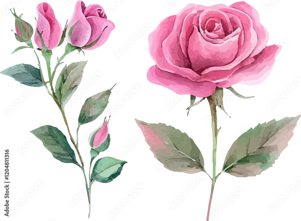 Fototapeta premium bouquet of roses