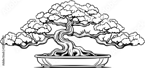 bonsai tree drawing