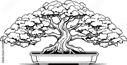 bonsai tree drawing