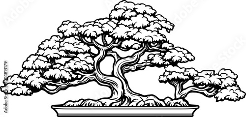 bonsai tree drawing