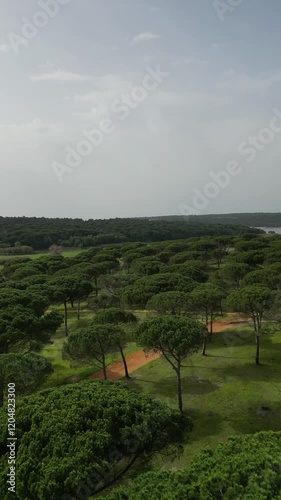 landscape with trees