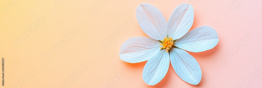 Fototapeta premium Delicate white flower with soft petals against a pastel orange background in a serene setting. Generative AI