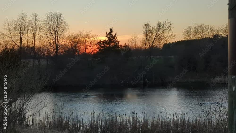 Overlooking an Iowa pond as with the Spring season in full swing. Listen to the birds chirp and the frogs croak. 