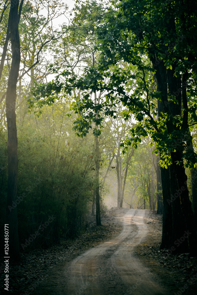 Fototapeta premium Wildlife of Madhya Pradesh