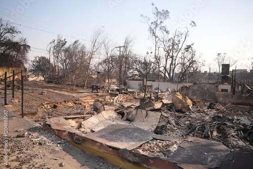 aftermath of the pacific palisades wild fire
