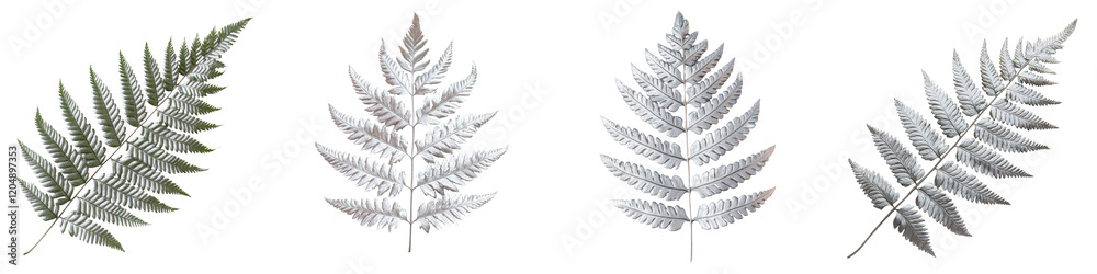 Elegant and lush fern leaves in a serene natural setting showcasing the intricate patterns and vibrant green hues of this beautiful botanical element Perfect for use as a backdrop wallpaper Elegant and lush fern leaves in a serene natural setting showcasing the intricate patterns and vibrant green hues of this beautiful botanical element Perfect for use as a backdrop wallpaper