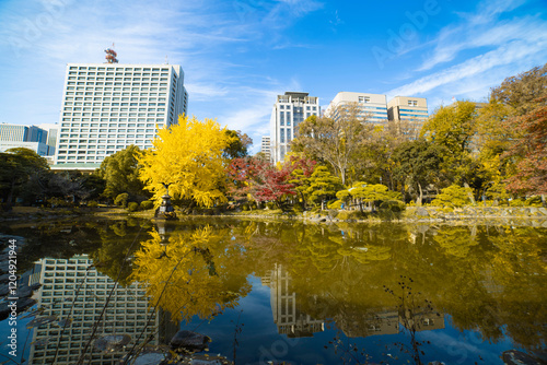Yellow gingko tree and red leaves near the pond at Hibiya park in Tokyo wide shot photo